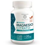 Magnesio Citrato + L Glutamina 120 cápsulas Wellplus